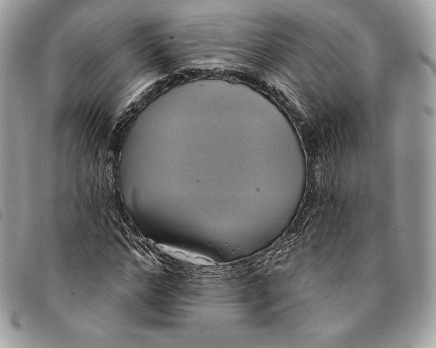 X0000095110968200712211317