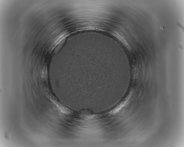 X0000095110969200712211317