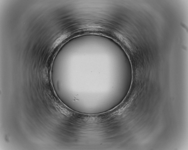 X0000095110970200712211317