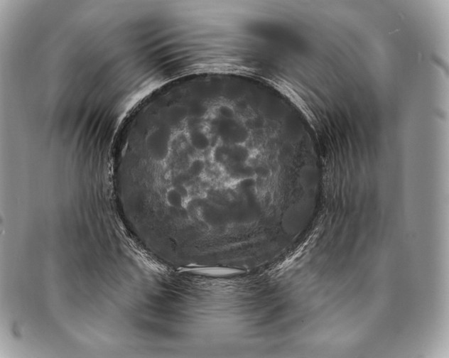 X0000095110971200712211317