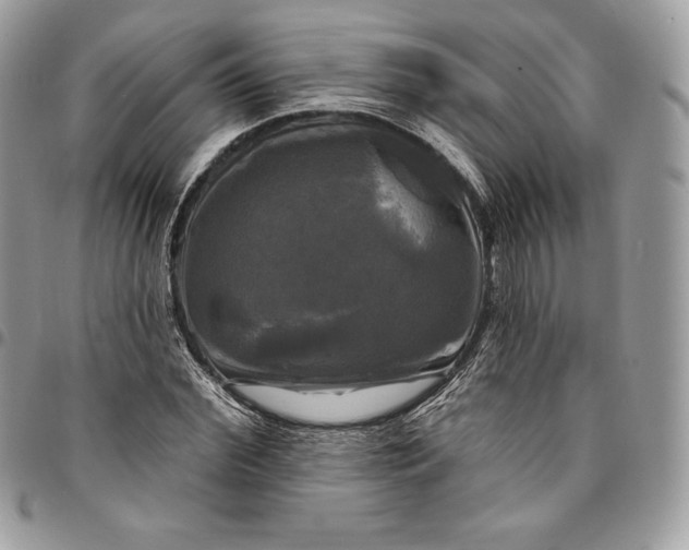 X0000095110972200712211317