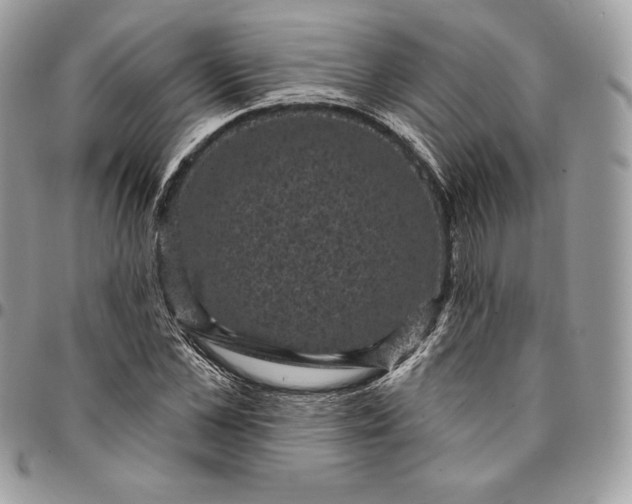 X0000095110973200712211317