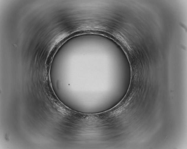 X0000095110974200712211317