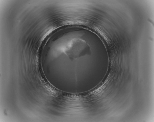 X0000095110975200712211317