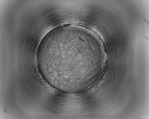 X0000095110976200712211317