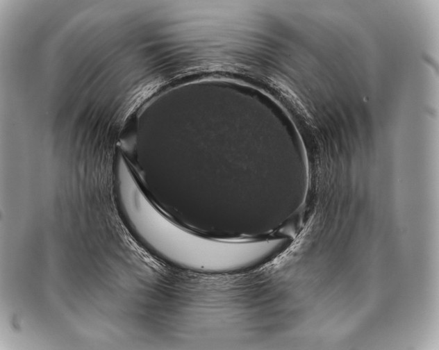 X0000095110977200712211317