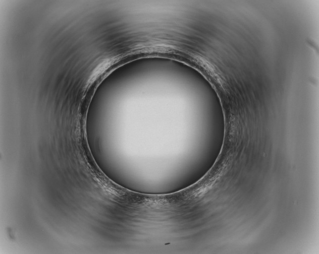 X0000095110978200712211317