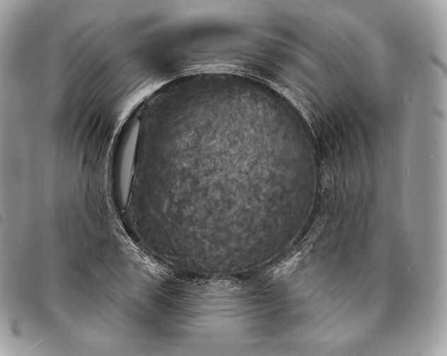 X0000095110979200712211317