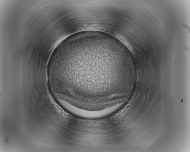 X0000095110980200712211317