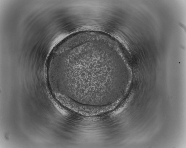 X0000095110981200712211317