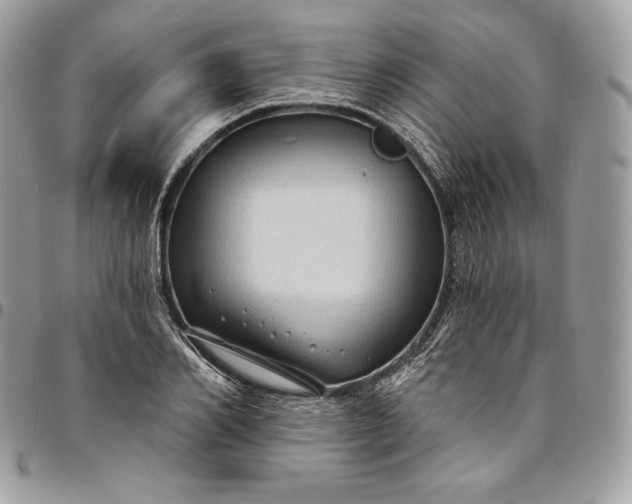 X0000095110982200712211317