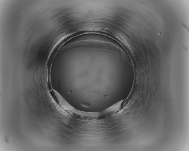 X0000095110984200712211317