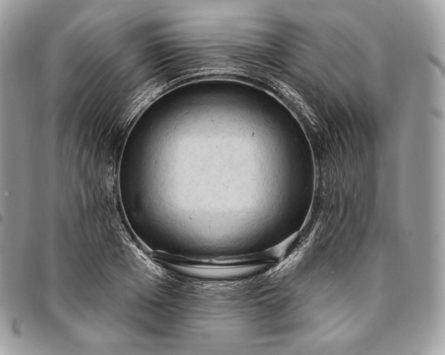 X0000095110985200712211317