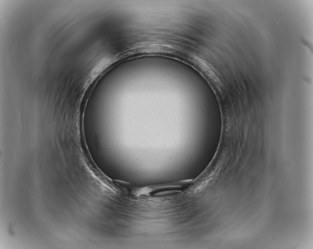 X0000095110986200712211317