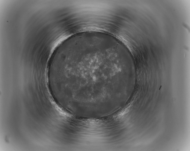 X0000095110987200712211317