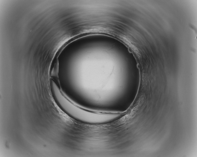 X0000095110988200712211317