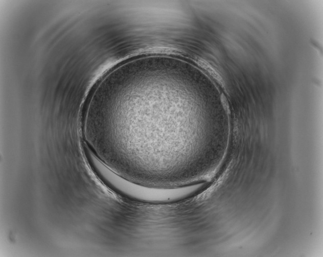 X0000095110989200712211317