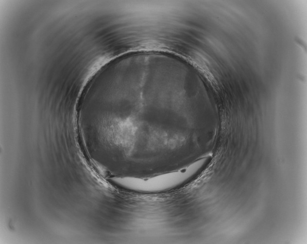 X0000095110990200712211317