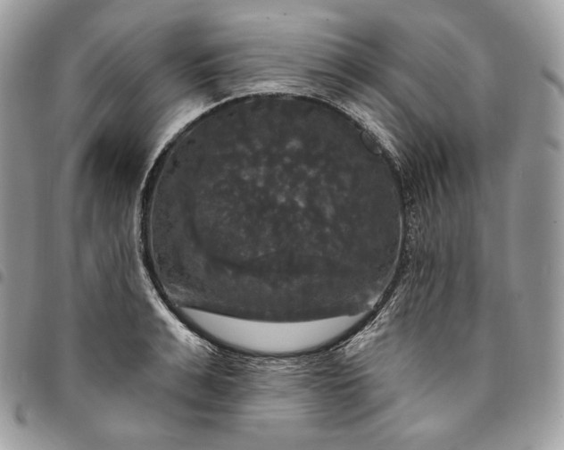 X0000095110991200712211317