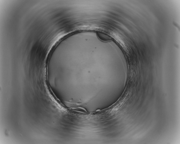 X0000095110992200712211317