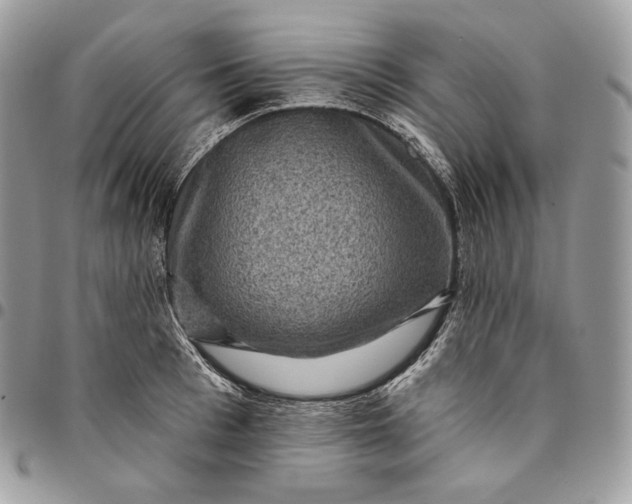 X0000095110993200712211317