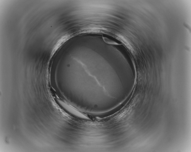 X0000095110994200712211317