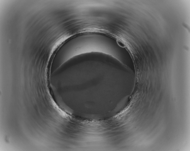 X0000095110995200712211317