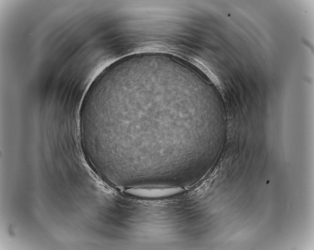 X0000095110996200712211317