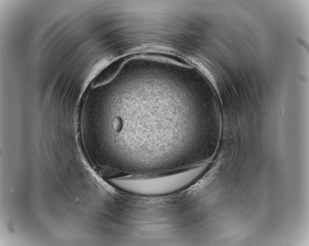 X0000095110997200712211317