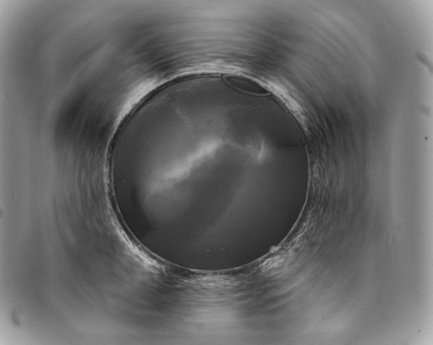 X0000095110998200712211317