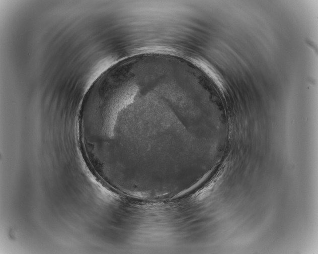 X0000095110999200712211317