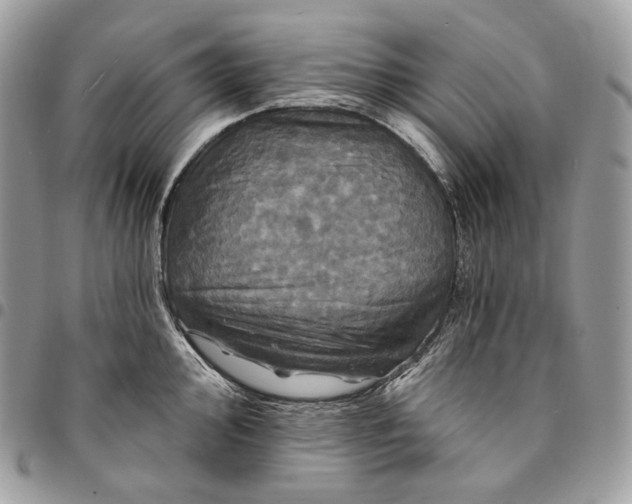 X0000095111000200712211317