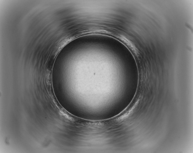 X0000095111001200712211317