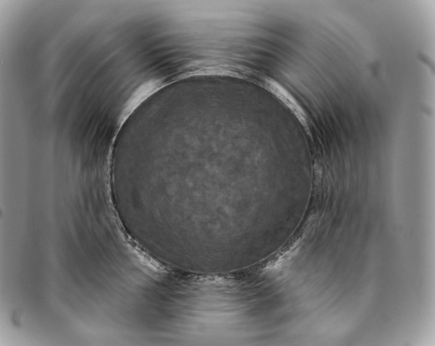 X0000095111002200712211317