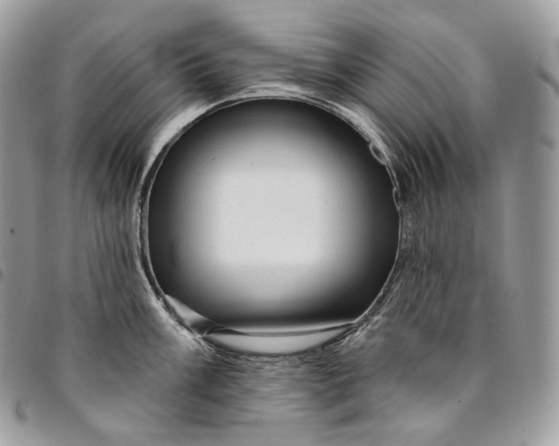 X0000095111003200712211316