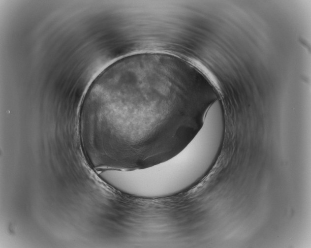 X0000095111004200712211316