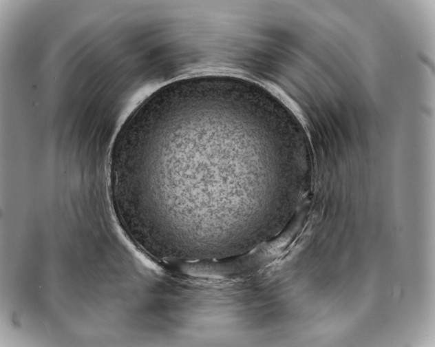 X0000095111005200712211316