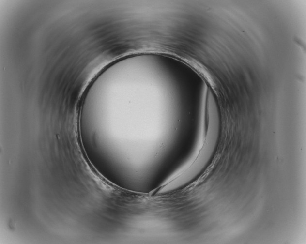 X0000095111006200712211316