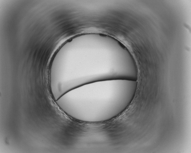 X0000095111008200712211316