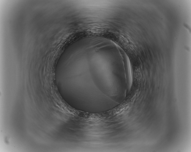 X0000095111009200712211316