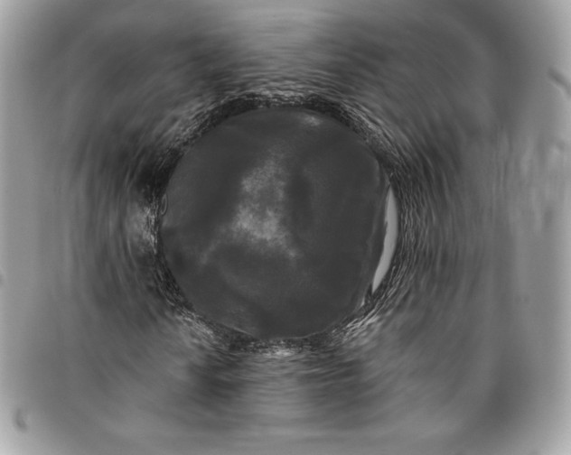 X0000095111010200712211316