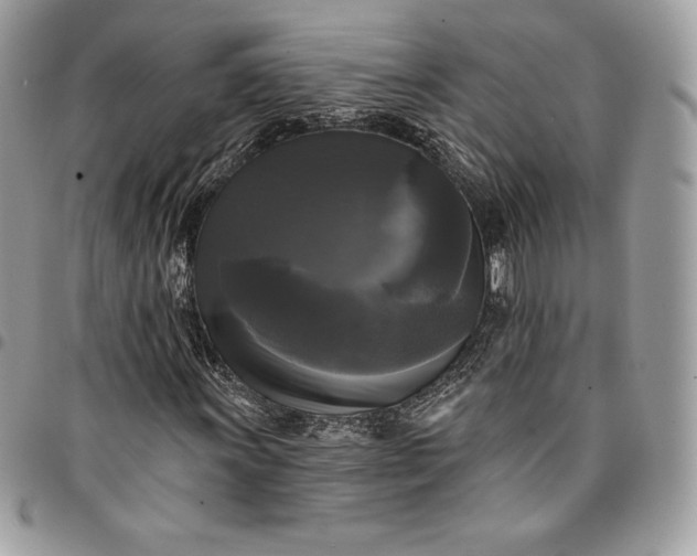 X0000095111011200712211316