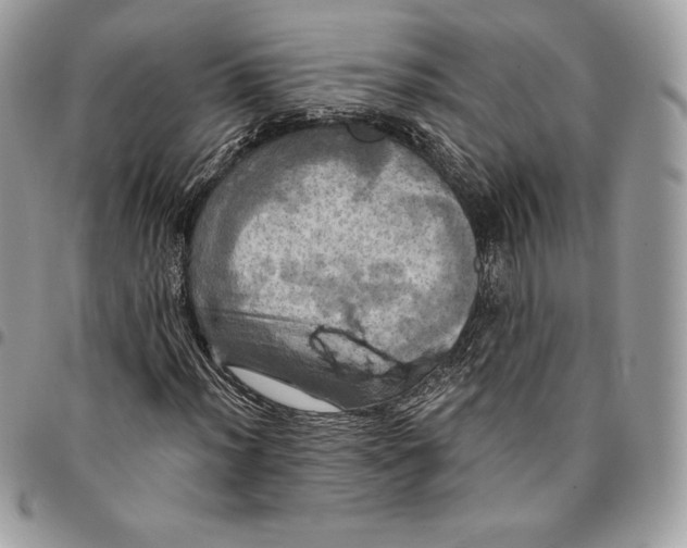 X0000095111012200712211316