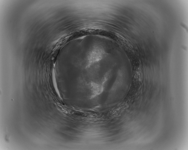 X0000095111014200712211316