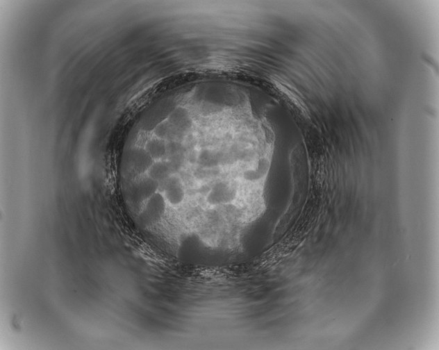 X0000095111015200712211316