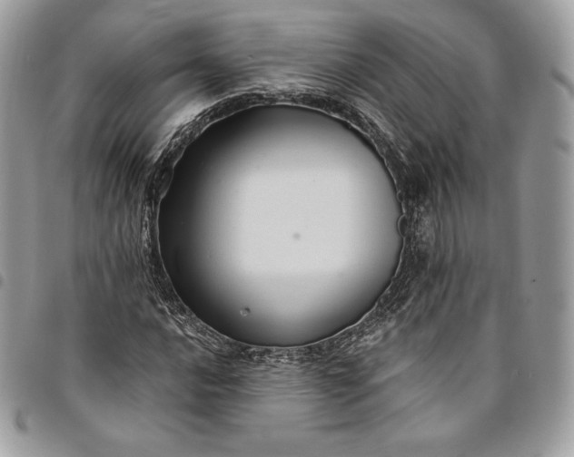 X0000095111016200712211316