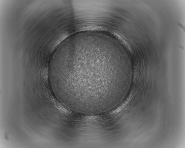 X0000095111017200712211316