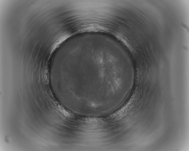 X0000095111018200712211316