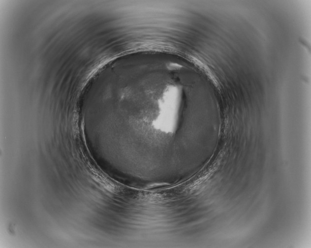 X0000095111019200712211316