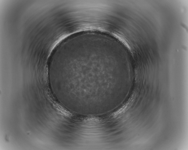 X0000095111021200712211316